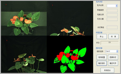 图像处理视觉检测软件：花卉评级系统软件